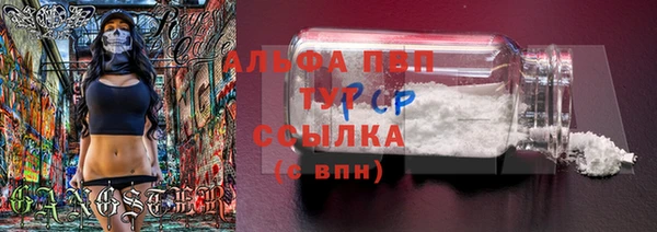 PSILOCYBIN Богородск