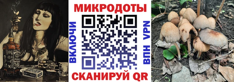 Псилоцибиновые грибы Cubensis Будённовск