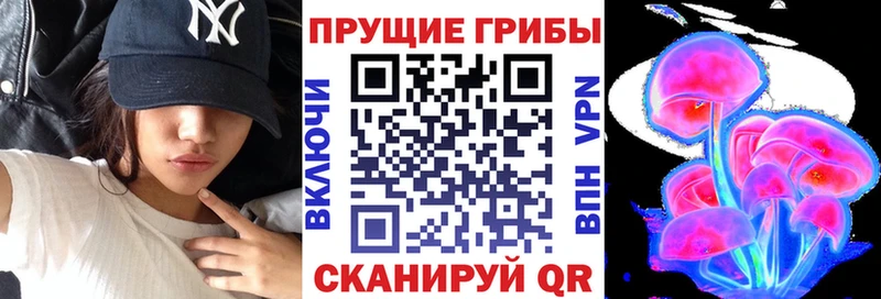 дарк нет какой сайт купить наркотики цена Будённовск Псилоцибиновые грибы Psilocybine cubensis MEGA сайт