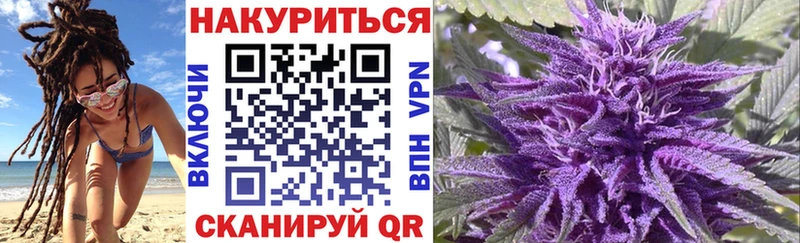 shop Telegram Будённовск Бошки марихуана Ganja omg ТОР